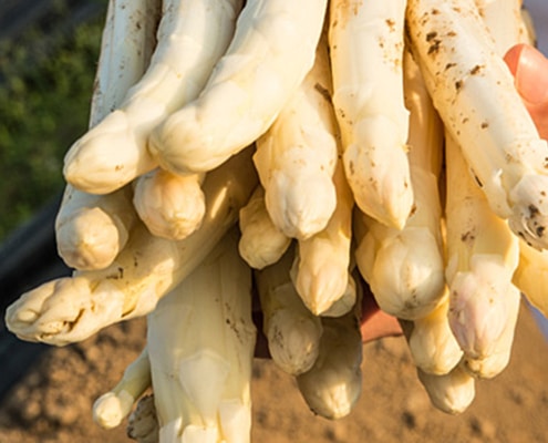 Zur Krone Gottenheim – Spargel