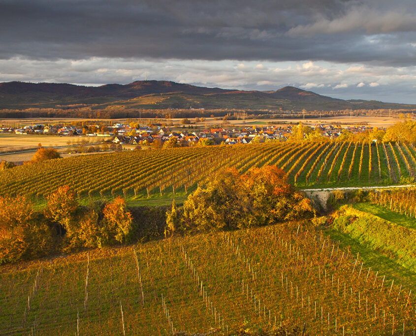 Traumhafte Landschaft, Weinberge und Kaiserstuhl